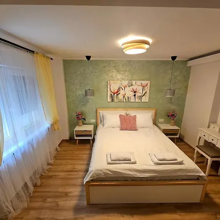 New Iorga6 Oldcity Selfcheckin Τιμισοάρα