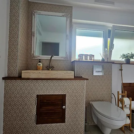 New Iorga6 Oldcity Selfcheckin Τιμισοάρα