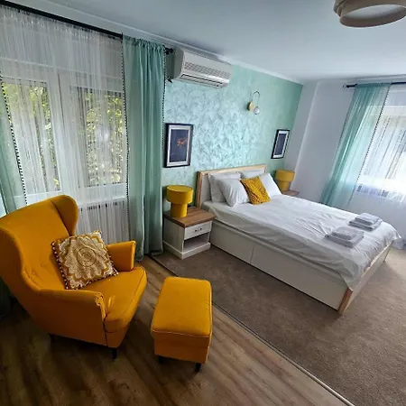 New Iorga6 Oldcity Selfcheckin * Τιμισοάρα